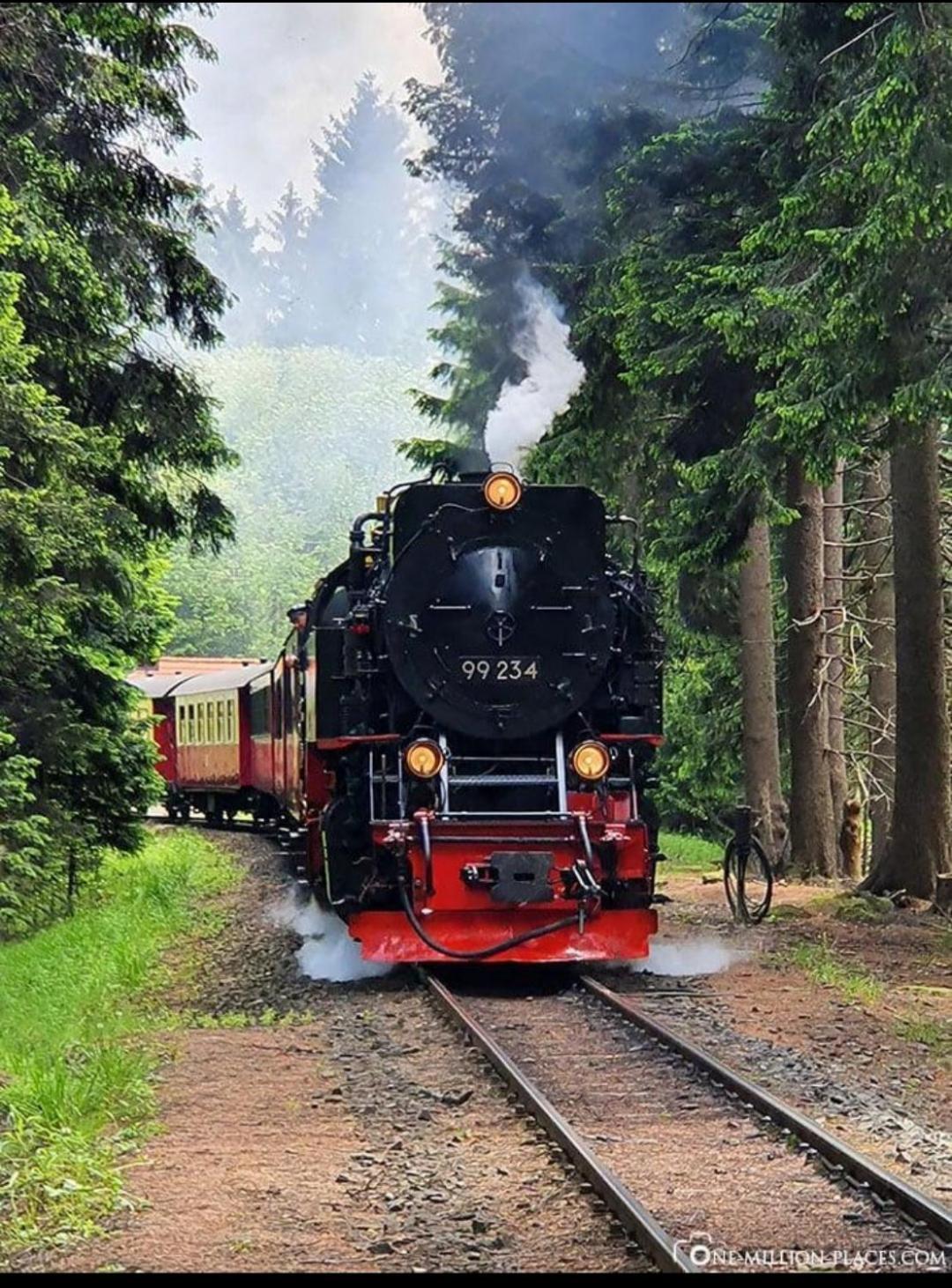 Ferienwohnung Holzmann Wernigerode Zewnętrze zdjęcie